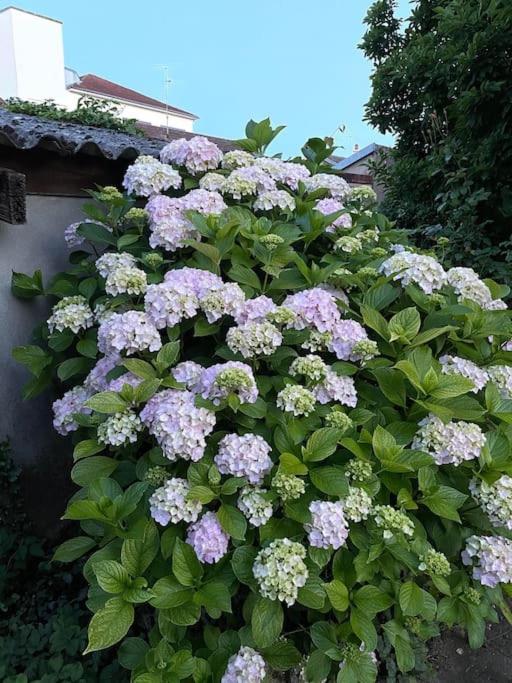 La Casa Del Papa - Maison Spacieuse Avec Jardin 多勒 外观 照片